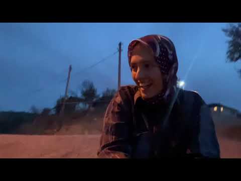 bütün hayvanlarımla akşam işleri bu çiftlikte yok yok