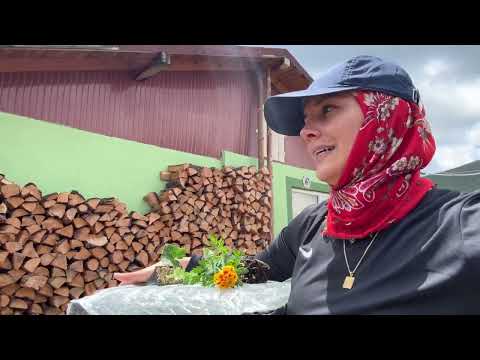 YÜKSEK DAĞ KÖYÜNDE GENÇ KIZIN YAŞAMI HAYVANLARI VE YEMEK