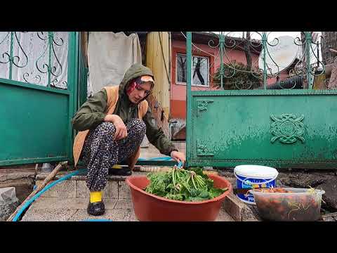 SOBADA ISPANAKLI BÖREK TAM İŞLERE BAŞLICAM DERKEN İŞLER