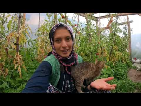 EFSANE KAHVALTILIK SOS YENİ ATV YENİ YOLLAR AKŞAM SOHBETİ