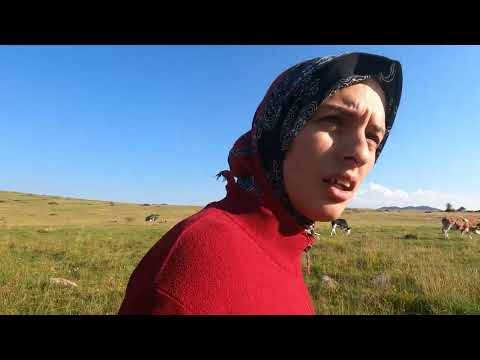 HASAN İLE İNEK TOPLAMA KAMP PLANLARI