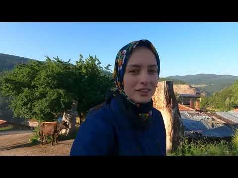 1 TONLUK TOSUNU YIKAYIP BOLU PAZARINA GİTTİK