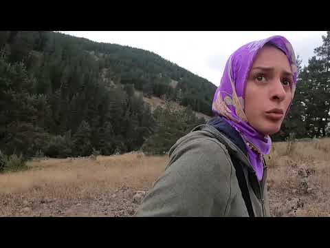 MANTARA GİTTİK ÇOBAN YİNE KOYUNLARI KAYBETMİŞ