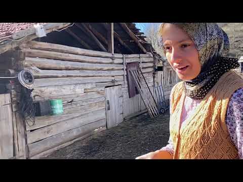 Köyde günlük vlog Ekmek hamurundan fırında pide Koyunlar