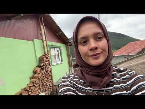 KARDEŞLER İLE MANTAR ARAYIŞI DOĞUMLAR BAŞLADI