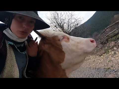 BAHARIN GELİŞİ MERA HAYVANCILIĞINI BAŞLATTI İFTAR MENÜSÜ