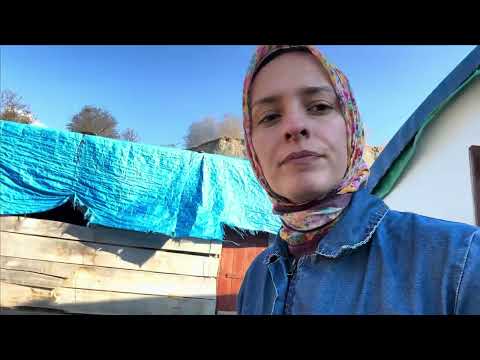 KÖYDE YAŞAM DAMIZLIKLAR MERAYA ÇIKIYOR ANNEMLE AKŞAM İŞLERİ