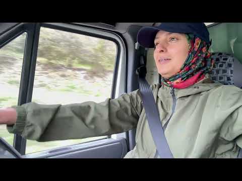 ÇOK ZOR DOĞAN SİMENTAL BUZAĞI KALİTELİ KURBANLIKLAR KÖYDE