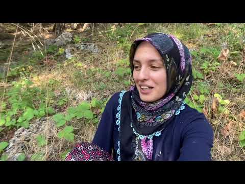KÖROĞLU DAĞLARINDAYIM böğürtlen reçeli