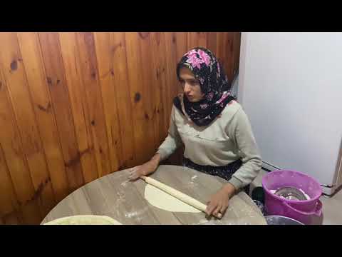 Mantarlar toplandı Mantar çorbası Ve soba böreği