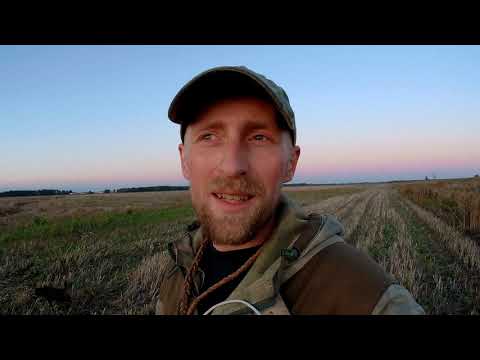 Охота на утку Рецепт Овощное рагу с дикой уткой
