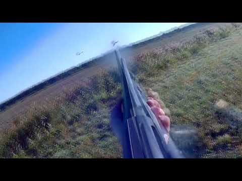 Куча утки на одной канаве ОХОТА НА УТОК с ARMSAN 612 duck