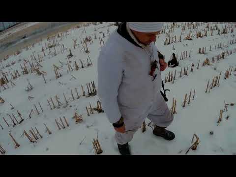 ОХОТА НА ГУСЯ 2018 Чумовое открытие