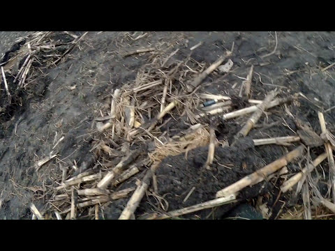 ОХОТА НА ГУСЯ 27 03 2018 Охота с чучелами со скрадка