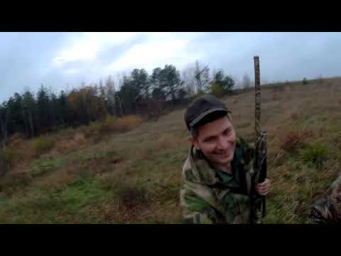 ШОК Вот это ОТКРЫТИЕ ОХОТЫ НА ЗАЙЦА crazy hunting 2018 2019