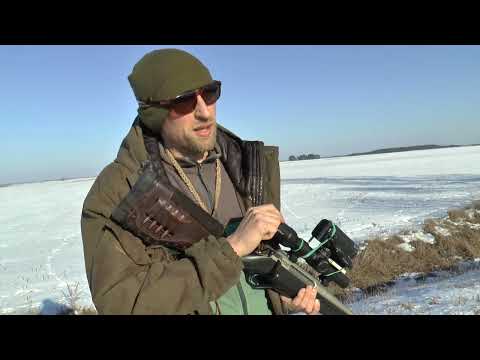 3 УДАЧНЫЕ ОХОТЫ НА ЛИСУ РАЗВЕДКА ОХОТЫ НА ГУСЯ