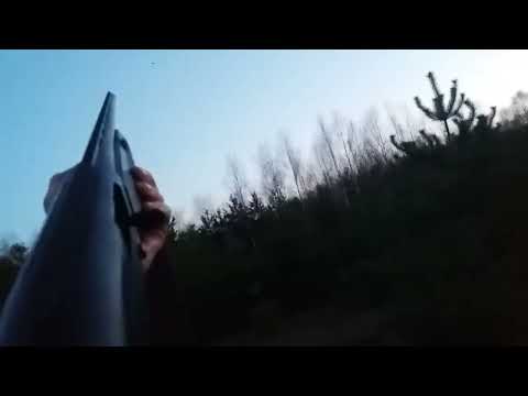 весенняя охота на вальдшнепа 2017 три налета