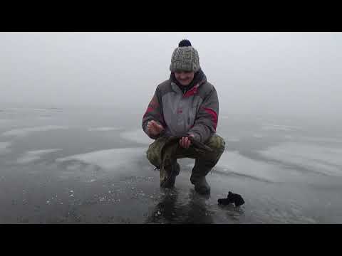 ПЕРВЫЙ В ЖИЗНИ ЛЁД Оля ловит щуку и окуня со льда