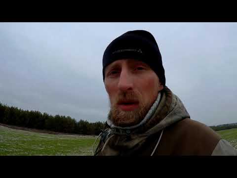 ОХОТА НА ХИТРЫХ ЗАЙЦЕВ по первому снегу Охота на зайца