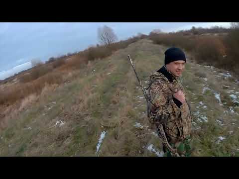 ЛУЧШИЕ МОМЕНТЫ И КРАСИВЫЕ ВЫСТРЕЛЫ ОХОТЫ НА ЗАЙЦА ТОП 13