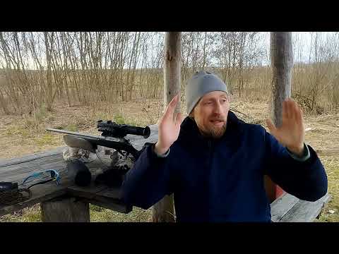 МОЙ ПЕРЫЙ КАБАН ЗА ДОЛГОЕ ВРЕМЯ Охота с подхода