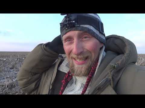 За гусями через всю Беларусь Закрыл сезон ОХОТЫ НА ГУСЯ