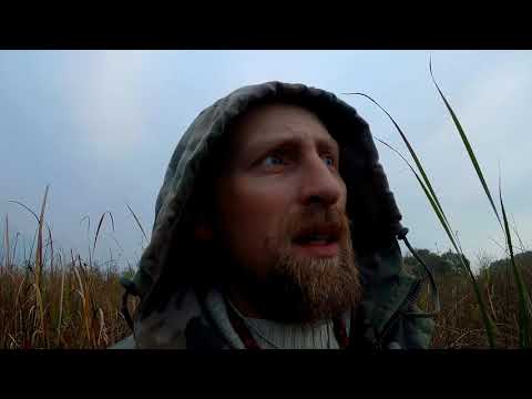 ОХОТА НА УТОК с новыми чучелами Охота с манком на большей