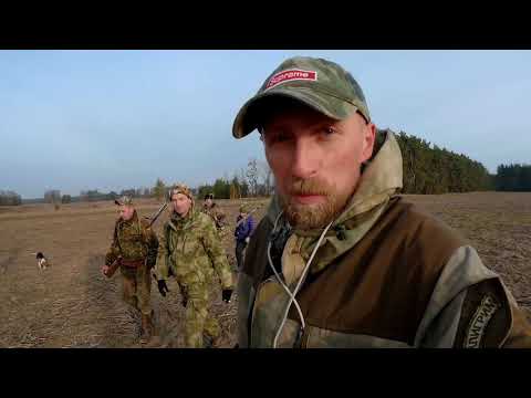 Чумовое открытие на зайца 2019 Охота на зайца в Беларуси