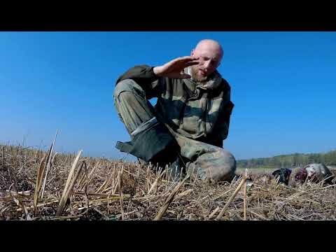 Утка осенью в большой цене ОХОТА НА УТОК 2018 duck hunting
