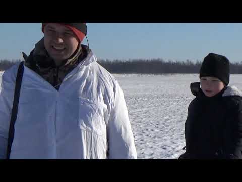 ОГРОМНЫЙ ЗАЯЦ НА ЗАКРЫТИЕ Охота на зайца в Беларуси 2021