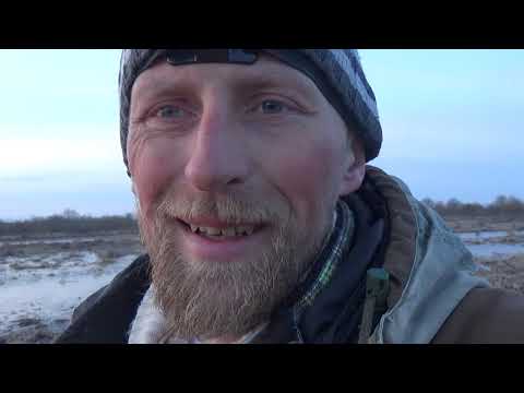 ОХОТА НА ГУСЯ 2021 В ПОЙМЕ Не мой день