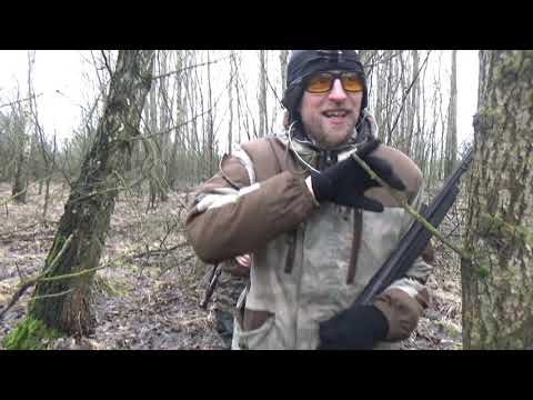 ОХОТА В БЕЛАРУСИ НА ЗАЙЦА И ЛИСУ Хорошая охота в плохую