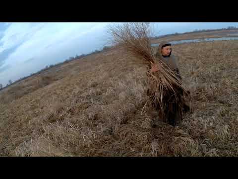 ВЕСЕННЯЯ ОХОТА НА ГУСЯ 2019 охота в пойме малой реки