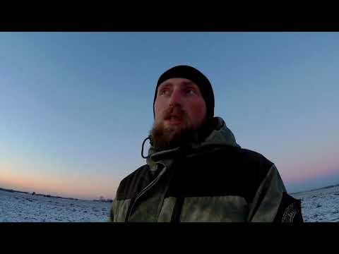 ОХОТА НА ЛИС И ДЕРЕВЕНСКИХ ЗАЙЦЕВ 9 й русачек в сезоне 2019