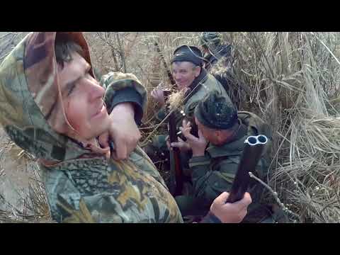 ОХОТА НА ГУСЯ 2020 с эффектом присутствия