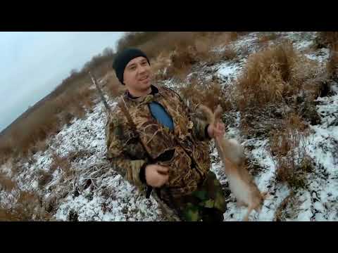 2 ВЫСТРЕЛА 2 ЗАЙЦА Охота с собаками 2018 2019