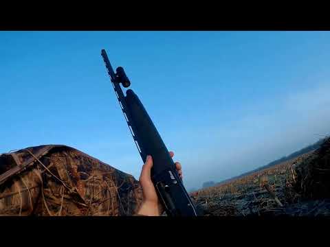 ПОЛНОЕ ПОГРУЖЕНИЕ В ГУСИНУЮ ОХОТУ ОХОТА НА ГУСЯ НА КОРМОВОМ
