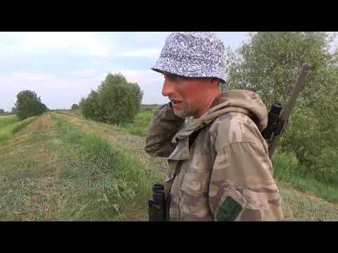 ОХОТА НА САМЦА КОСУЛИ НОЧЬЮ С ДНЕВНЫМ ПРИЦЕЛОМ