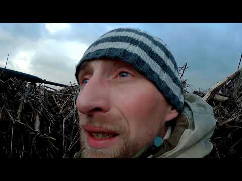 ОТКРЫТИЕ ОХОТЫ НА ГУСЯ 2020 Новый сезон весенней охоты