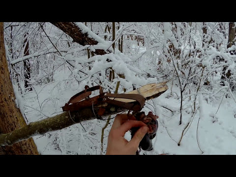 Расстановка капканов Охота на куницу