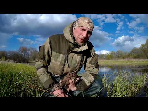 Охота с подсадной уткой 2017 Трудовой хеттрик