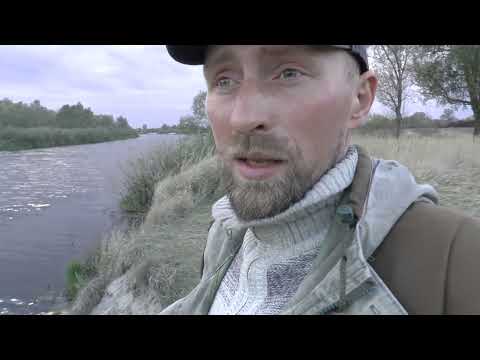 ОХОТА НА БОБРА Стрельнул огромного бобра Armytek Prime C2