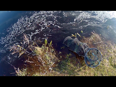 Поплавочка Ловля плотвы Первый выезд