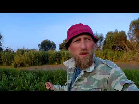 Отлична ОХОТА НА УТКУ 3 охоты в 1 видосе duck hunting 2018
