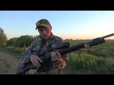 ОХОТА НА САМЦА КОСУЛИ Первый трофейный козел сезона