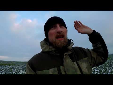 ЯГДТЕРЬЕР И ГОНЧАЯ ОХОТА НА ЗАЙЦА 2019 2018 ЧИКА hunting