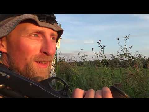 ОХОТА НА САМЦА КОСУЛИ НОЧЬЮ С ARMYTEK PREDATOR PRO EXTENDED