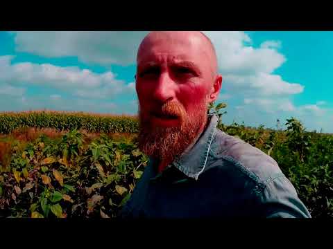 ОТКРЫТИЕ ОХОТЫ НА УТКУ 2019