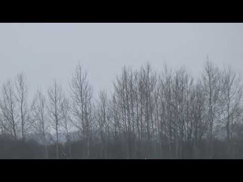 ОХОТА НА ЗАЙЦА КАК ОНА ЕСТЬ 3 охоты в 1 видео