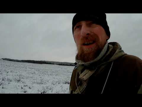Взял жену на охоту и понеслась кабан заяц косули лиса вороны